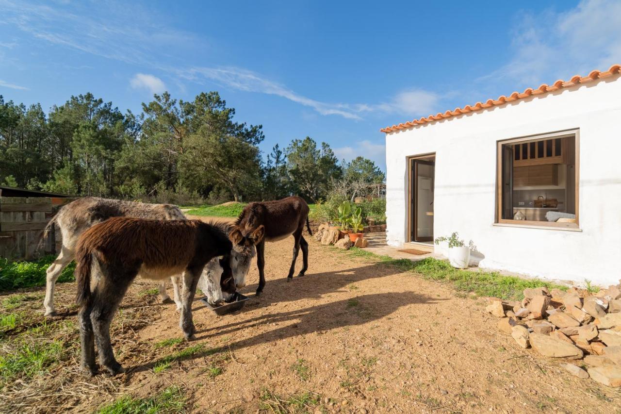 Casa Da Paz Daire Aljezur Dış mekan fotoğraf