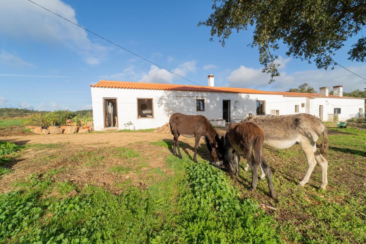 Casa Da Paz Daire Aljezur Dış mekan fotoğraf