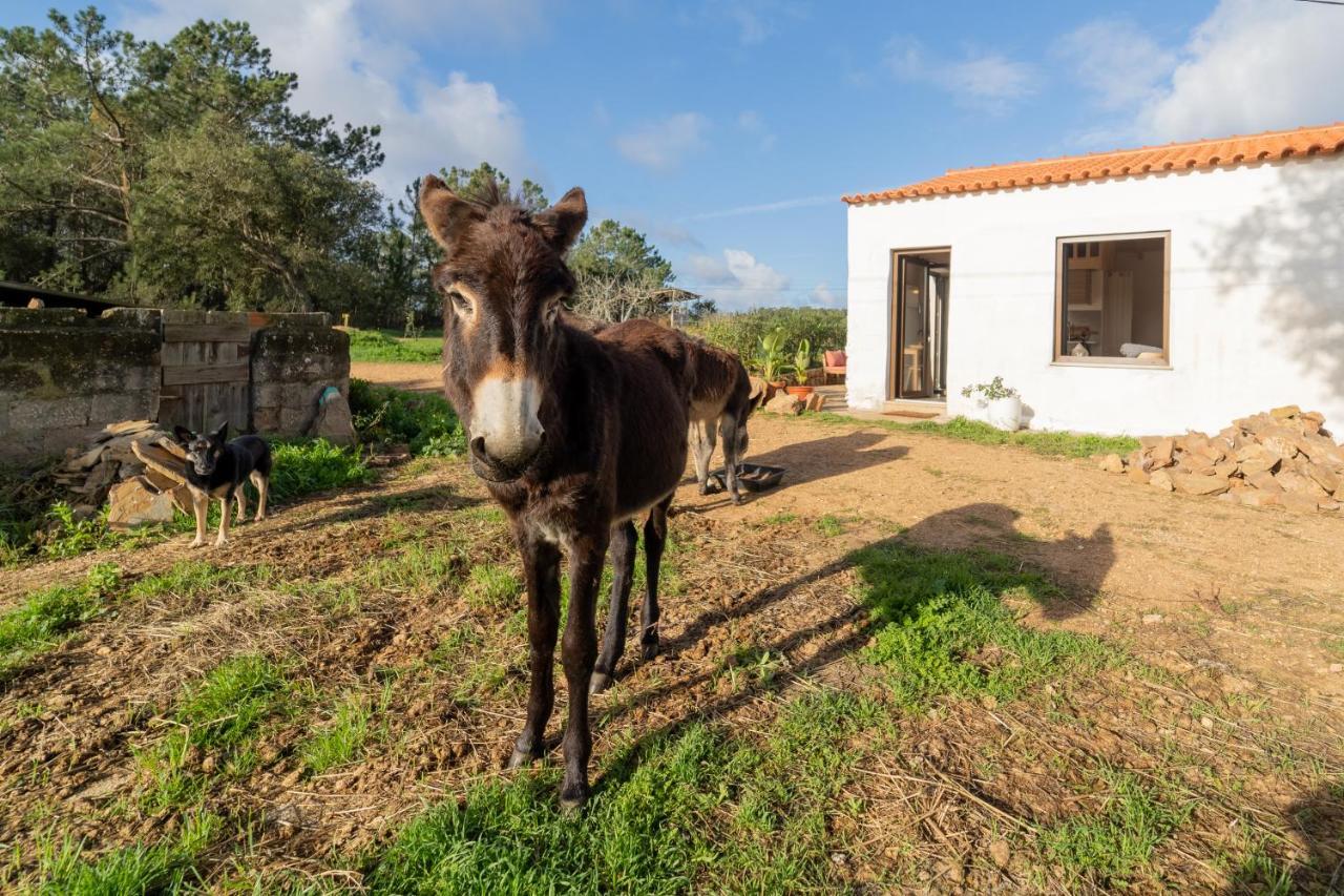 Casa Da Paz Daire Aljezur Dış mekan fotoğraf