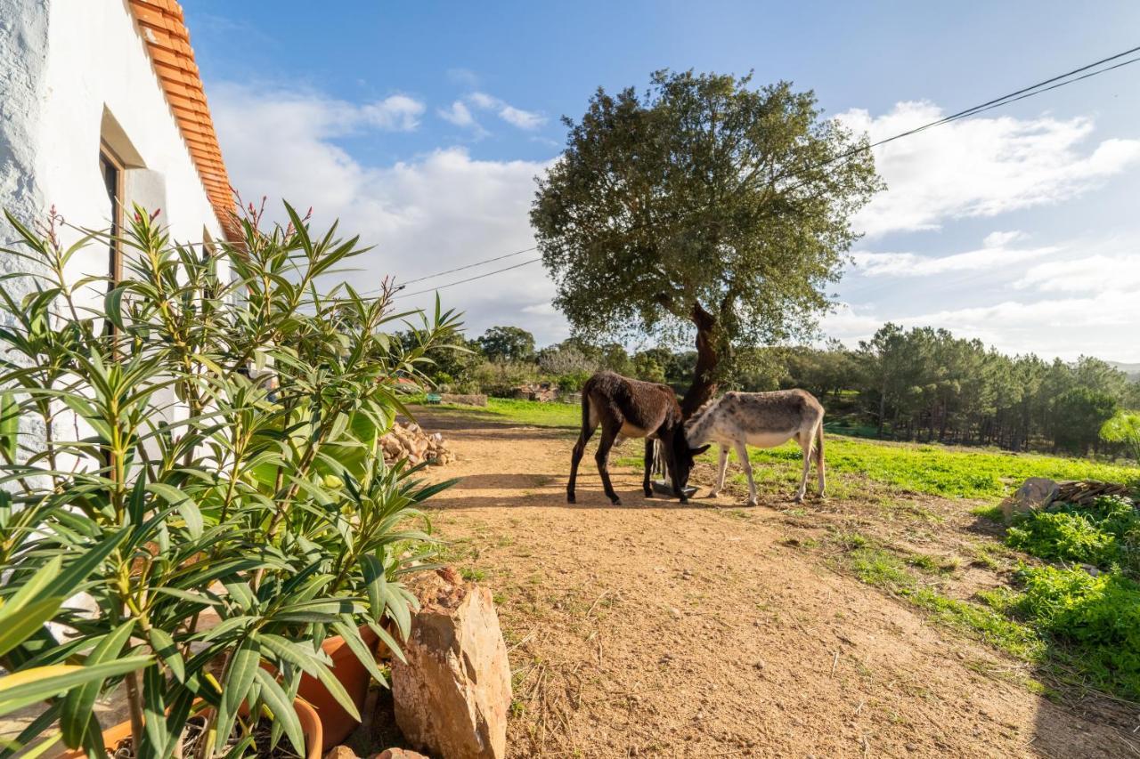 Casa Da Paz Daire Aljezur Dış mekan fotoğraf